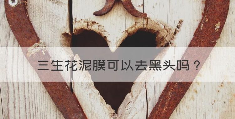 三生花泥膜可以去黑头，泥膜真的能清洁毛孔去黑头吗图1