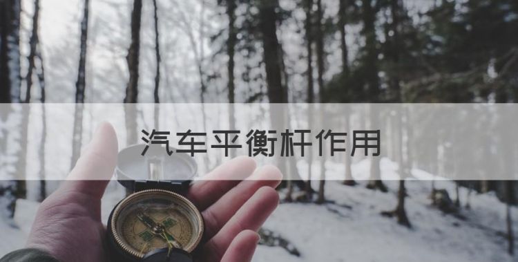 汽车平衡杆作用，汽车前平衡杆的作用是什么图1