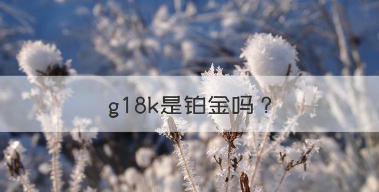 g8k是铂金，项链上的h是什么意思图1