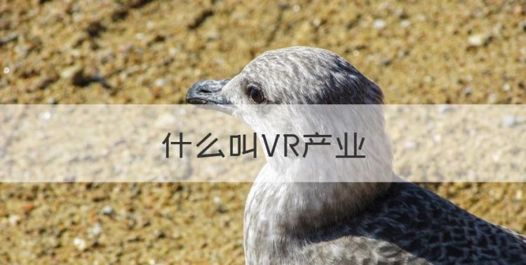 什么叫VR产业，vr是什么行业?图1