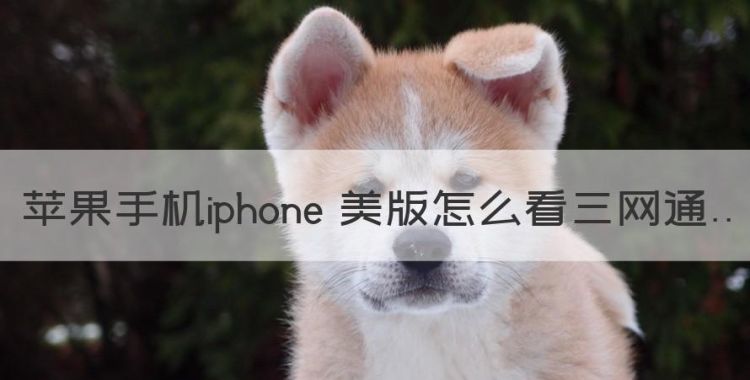 苹果手机iphone 美版怎么看三网通图1