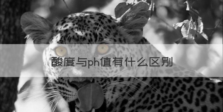 酸度与ph值有什么区别图1