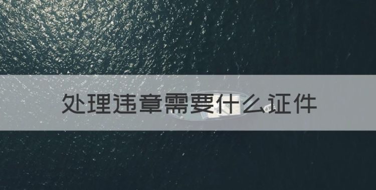 处理违章需要什么证件图1