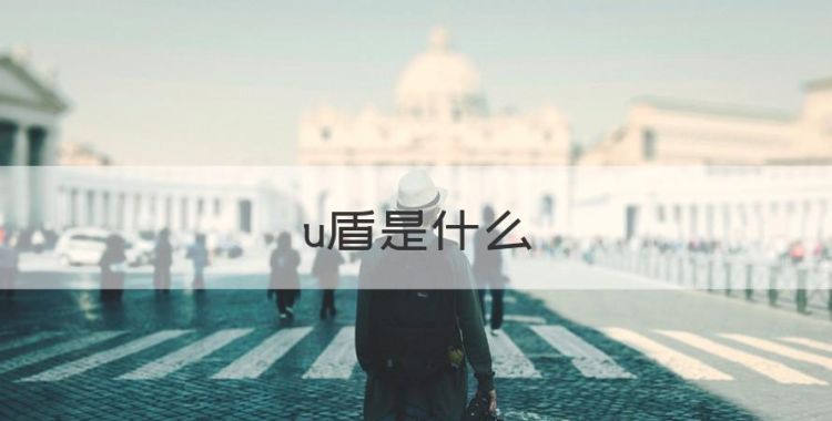 u盾是什么，什么是U盾证书图1