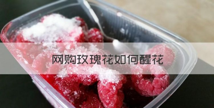 网购玫瑰花如何醒花，玫瑰花怎么醒花最简单的方法图1