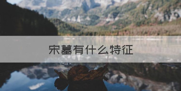 宋墓有什么特征，甘肃一工地挖出古墓图1