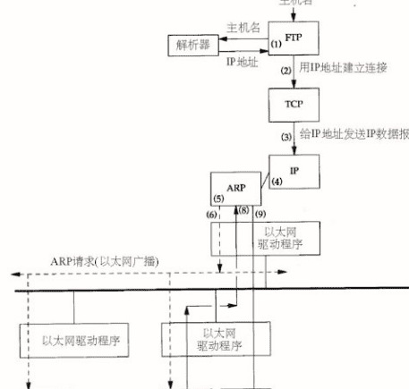 arp是哪一个层的协议，arp属于网络协议的哪一层图3