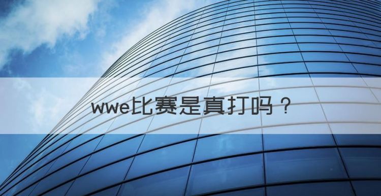 wwe比赛是真打图1