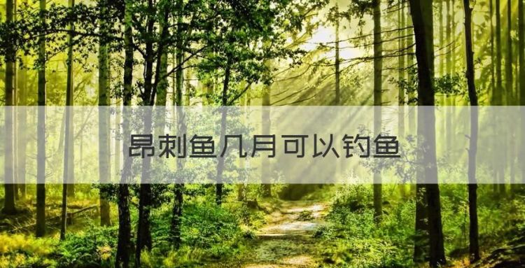 昂刺鱼几月可以钓鱼图1