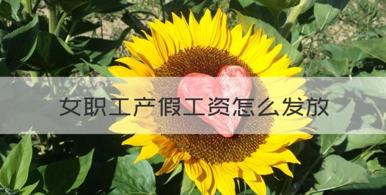 产假期间工资如何发放，女职工产假工资怎么发放图1