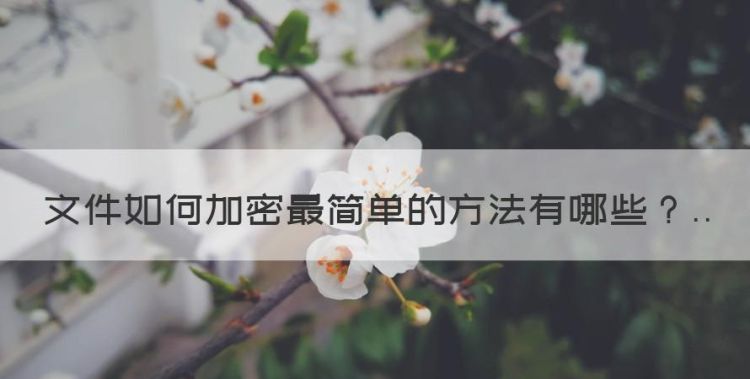 文件如何加密最简单的方法图1