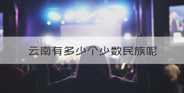 云南有多少个少数民族，云南的少数民族有哪些图1