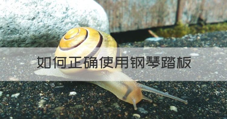 如何正确使用钢琴踏板，钢琴踏板的正确踩法视频图1