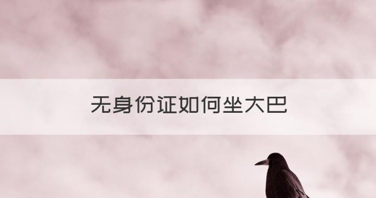 无身份证如何坐大巴，坐长途大巴没带身份证怎么办理图1