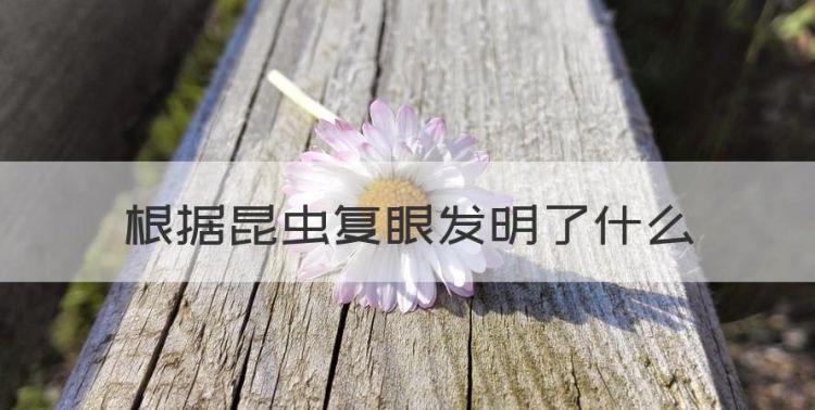 根据昆虫复眼发明了什么，人类利用苍蝇复眼发明了什么东西图1