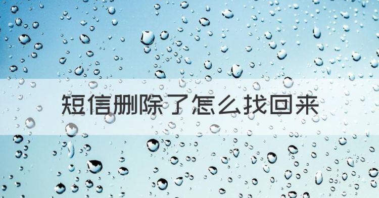 短信删除了怎么找回来，手机删除的短信怎么找回来图1