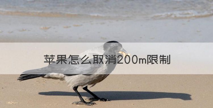 苹果怎么取消200m限制图1