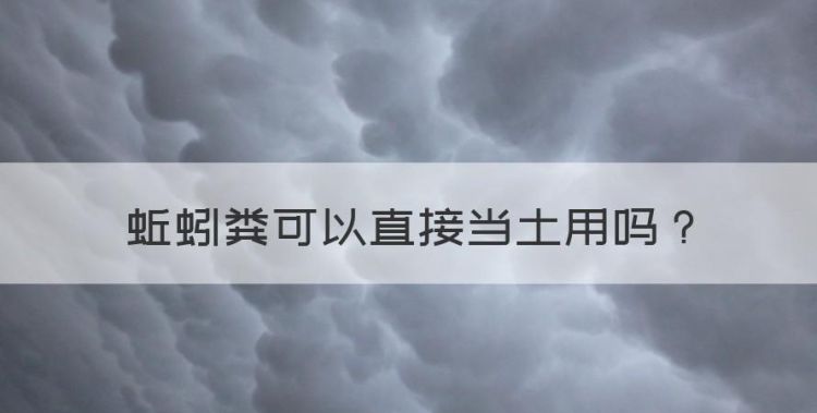 蚯蚓粪可以直接当土用，蚯蚓粪真的能当花肥使用吗图1