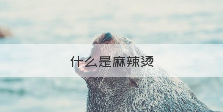 什么是麻辣烫图1