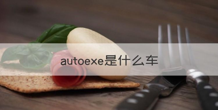 autoexe是什么车，车屁股后面有autoexe是什么车子图1