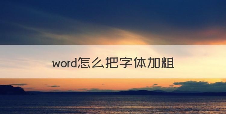 word怎么把字体加粗图1