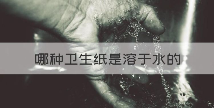 哪种卫生纸是溶于水的图1