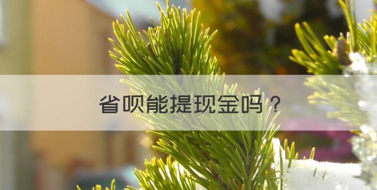 省呗能提现金，省呗的机票随心飞可以提现吗图1