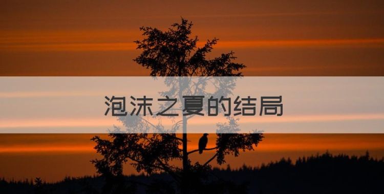 泡沫之夏的结局图1