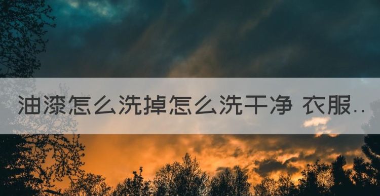 油漆怎么洗掉 衣服，衣服有油渍用什么方法能去掉图1