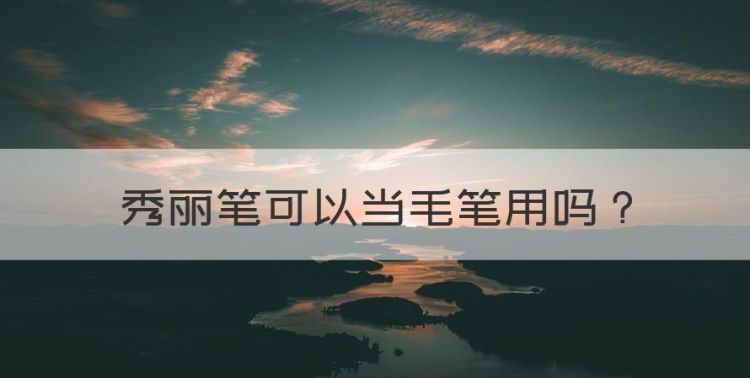 秀丽笔可以当毛笔用，工笔画可以刷完底色再勾线吗图1