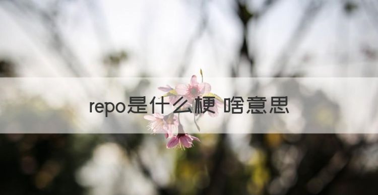 reporter怎么读，repo是什么梗 啥意思图1