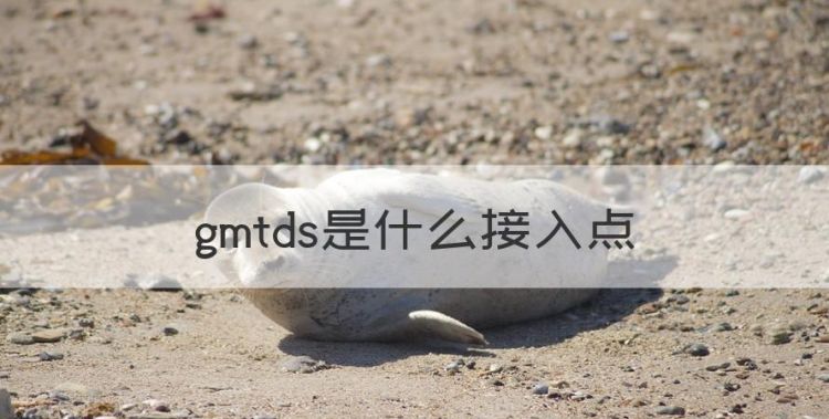 gmtds是什么接入点，gmtds是哪个运营商图1