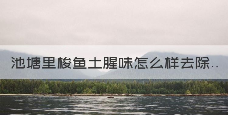 怎样去除养殖鱼的土腥味，池塘里梭鱼土腥味怎么样去除图1