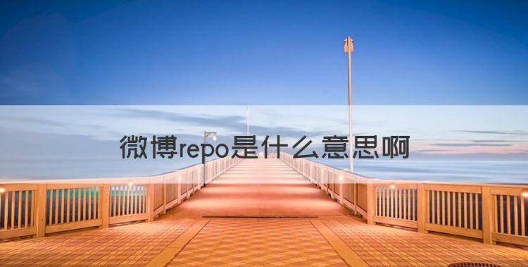 微博repo是什么意思，repo网络是什么意思图1