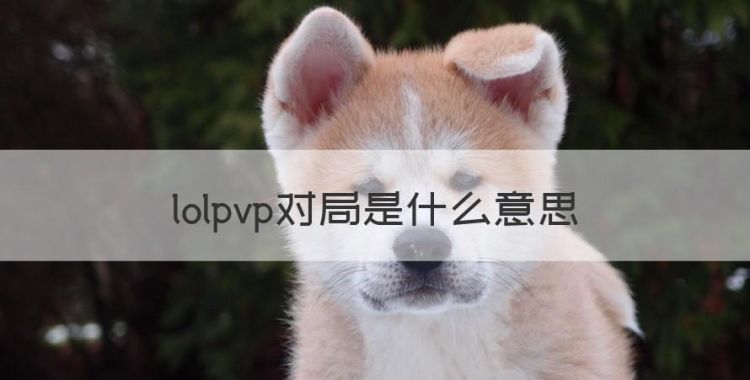 lolpvp错误怎么修复，lolpvp对局是什么意思图1