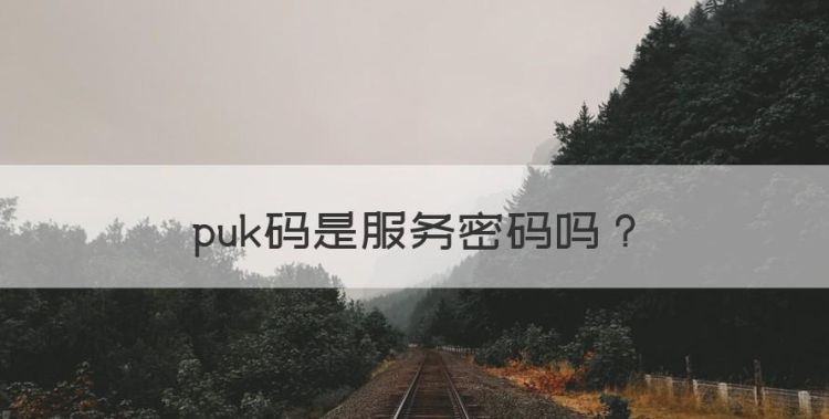 puk码是服务密码，服务密码和PUK码有什么区别?图1