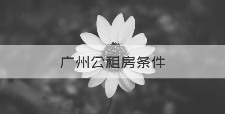 广州公租房条件，广州公租房申请条件图1