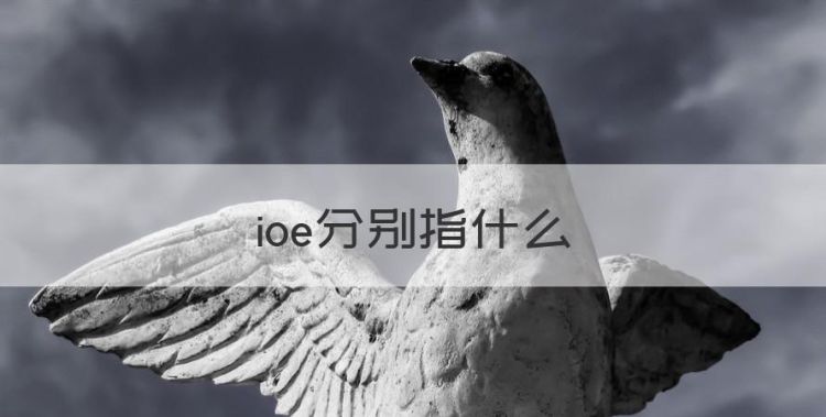 ioe分别指什么，什么是去ioe计划图1