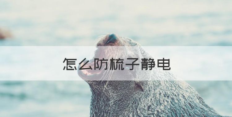 怎么防梳子静电，如何测试剪发梳子防静电性图1