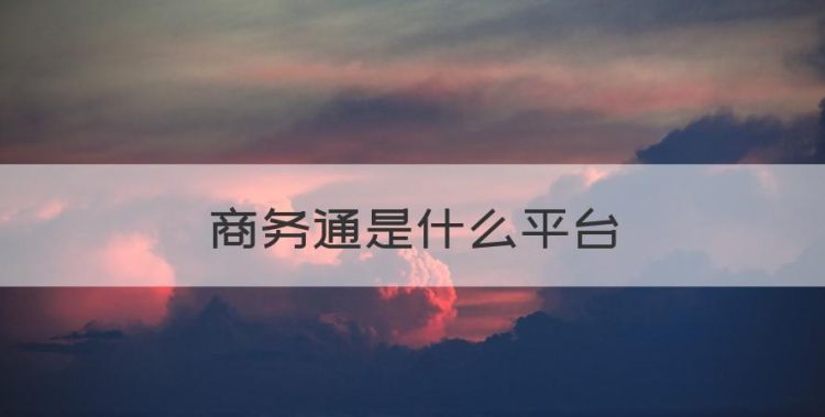 商务通是什么，商务通是什么平台图1