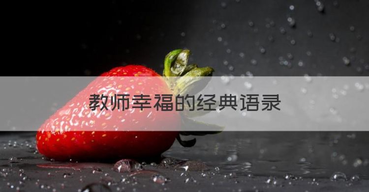 教师幸福的经典语录图1