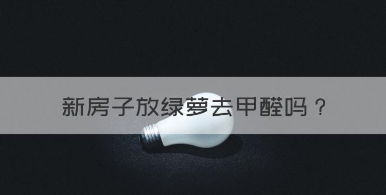 新房子放绿萝去甲醛图1