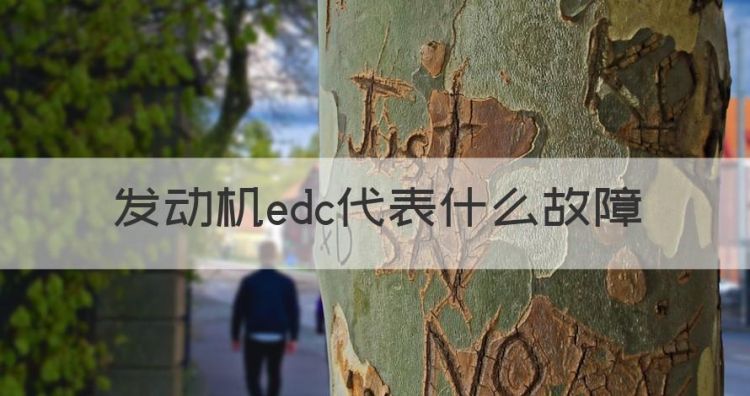 发动机edc代表什么故障，红岩杰狮edc故障灯是什么意思图1