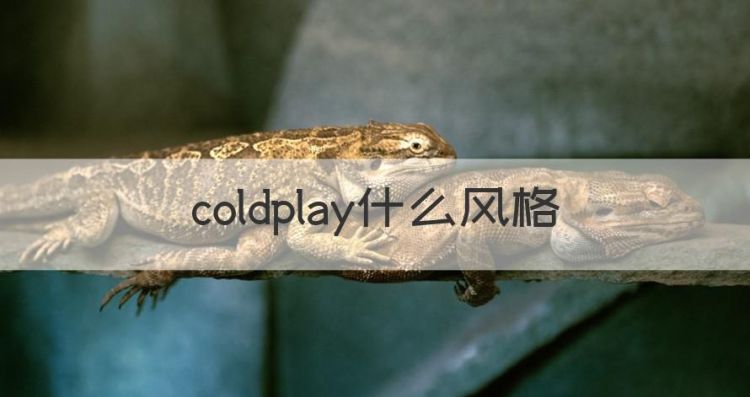 coldplay什么风格，u2是什么风格的摇滚图1