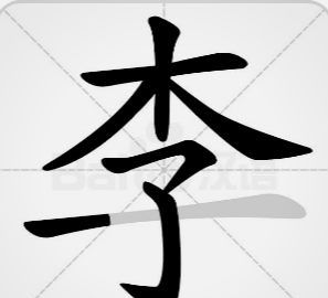 李笔画一共几笔怎么写的呀，李字有几画 汉字李字有几画图2