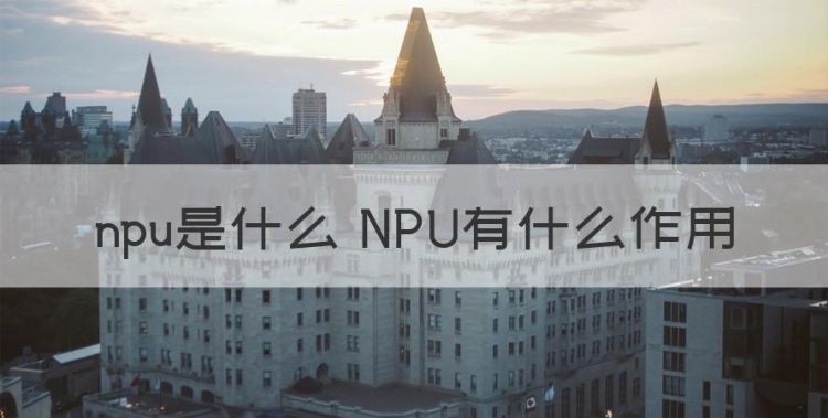 npu是什么 NPU有什么作用图1