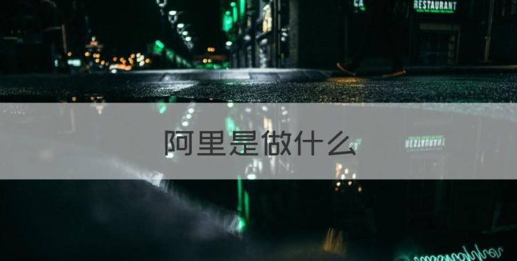 阿里是做什么，阿里第一颗自研芯片正式问世是哪一年图1