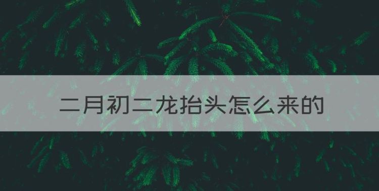 二月初二龙抬头怎么来的，二月初二龙抬头故事由来图1