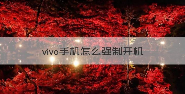 vivo手机怎么强制开机图1