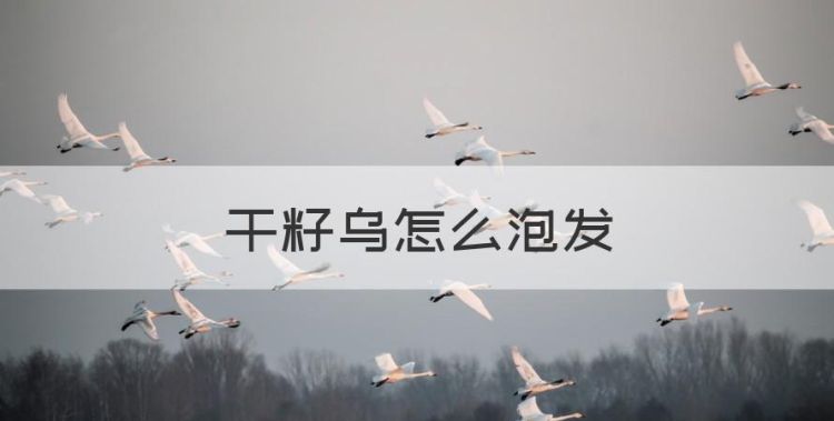 干籽乌怎么泡发，茶籽洗头怎么用图1